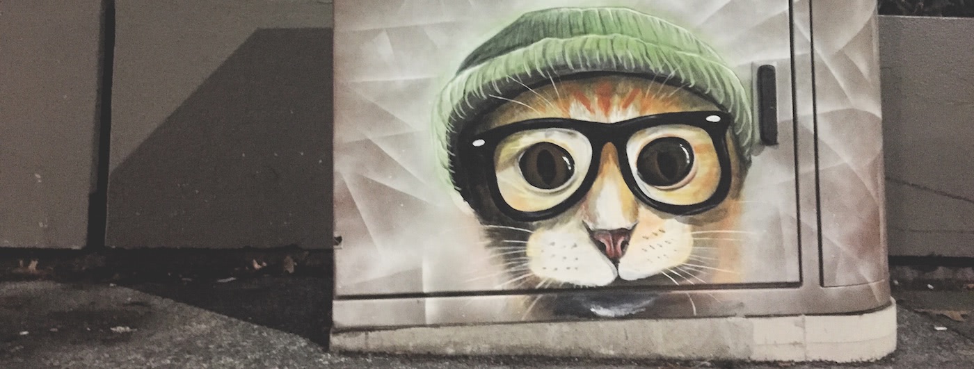 A Hipster Cat